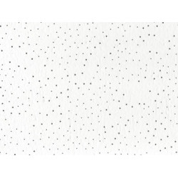 Потолочная плита ФИЛИГРАН FILIGRAN Board 600x600x12