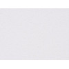 Потолочная плита НЬЮТОН NEWTONE Board 600x600x6