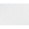 Потолочная плита АКАДЕМИИ ДИПЛОМ ACADEMY DIPLOMA Board 1200x600x14