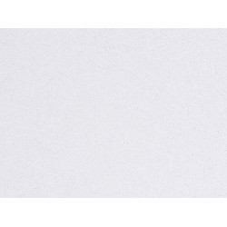 Потолочная плита ПЕРЛА ДБ PERLA DB Board 600x600x19