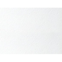 Потолочная плита БИОГУАРД ПЛЕЙН BIOGUARD PLAIN 90RH Board 600x600x12