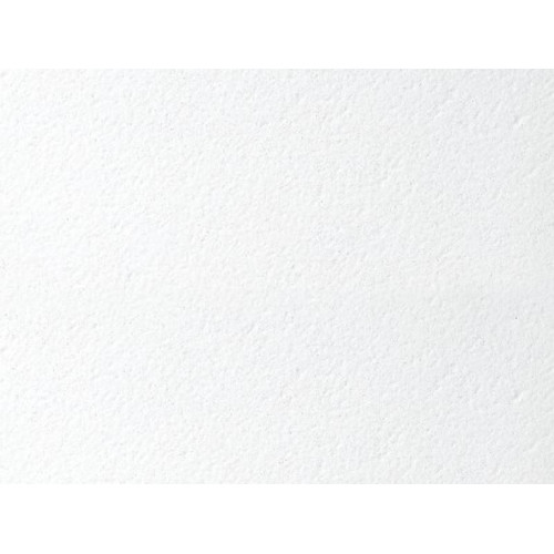 Потолочная плита БИОГУАРД ПЛЕЙН BIOGUARD PLAIN 90RH Board 600x600x12