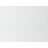 Потолочная плита БИОГУАРД ПЛЕЙН BIOGUARD PLAIN Tegular 24 600x600x15