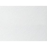 Потолочная плита БИОГУАРД ПЛЕЙН BIOGUARD PLAIN Board 600x600x15