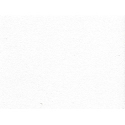 Потолочная плита БИОГУАРД ПЛЕЙН BIOGUARD PLAIN Board 600x600x15