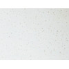 Потолочная плита КЛИН РУМ ФЛ CLEAN ROOM FL Board 1200x600x15