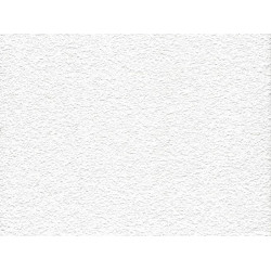 Потолочная плита ОАЗИС OASIS Board 600x600x12