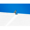Потолочная плита АДВАНТАЖ ADVANTAGE E T24 600x600x15